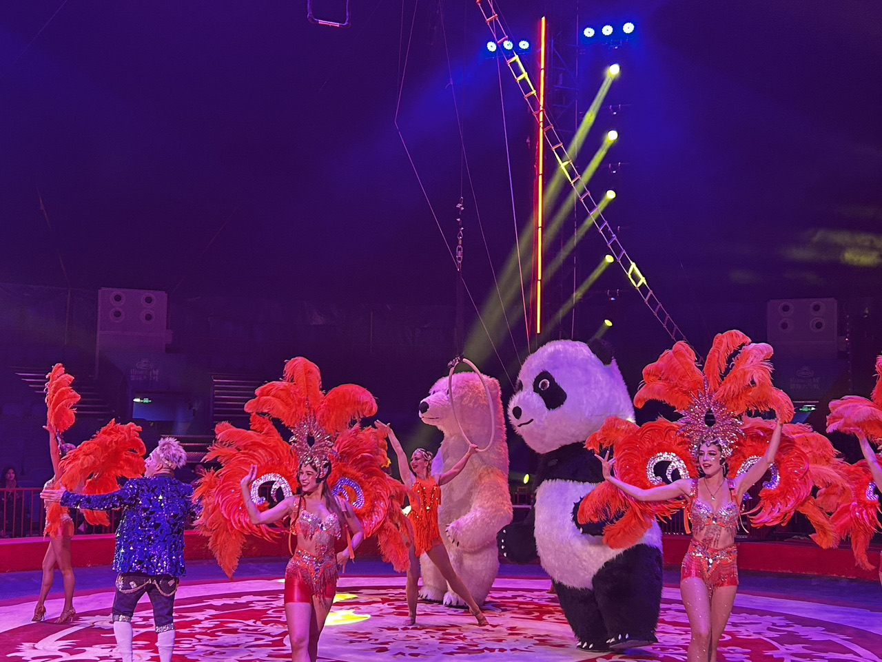 🎪 青島不夜城馬戲團觀賞小貼士
	1.	表演特色
•	不夜城內部舞台會有傳統馬戲、雜技、火舞、舞蹈表演等。
•	規模不大,但可以一邊享用啤酒和下酒菜,一邊觀賞,能充分感受當地氛圍。
	2.	觀賞時間
•	晚上7點後正式開始,持續到10點左右。
•	週末或旺季(夏季啤酒節期間)會更加精彩華麗。
	3.	選位小貼士
•	靠近舞台的桌位很快就會坐滿,建議提早去搶位。
•	視野好的座位通常需要點啤酒套餐才能坐,請留意。
	4.	享受方式
•	邊看馬戲表演邊喝青島生啤酒(生 啤酒),配上烤蛤蜊、串燒,當地氛圍滿分200%!
•	觀眾參與活動時還有拍照機會 📸
⸻
👉 總結來說,不夜城馬戲團是什麼?好玩~!!開心~!!。
想享受氣氛的話,晚上7~8點去,啤酒+海鮮+馬戲表演一起享受最棒了 🍻🎶