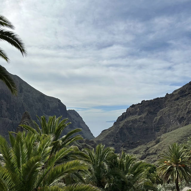 Tenerife – The Island of Eternal Spring Tenerife – The Island of Eternal Spring