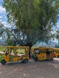 The Little Yellow Car and the Hillside Café