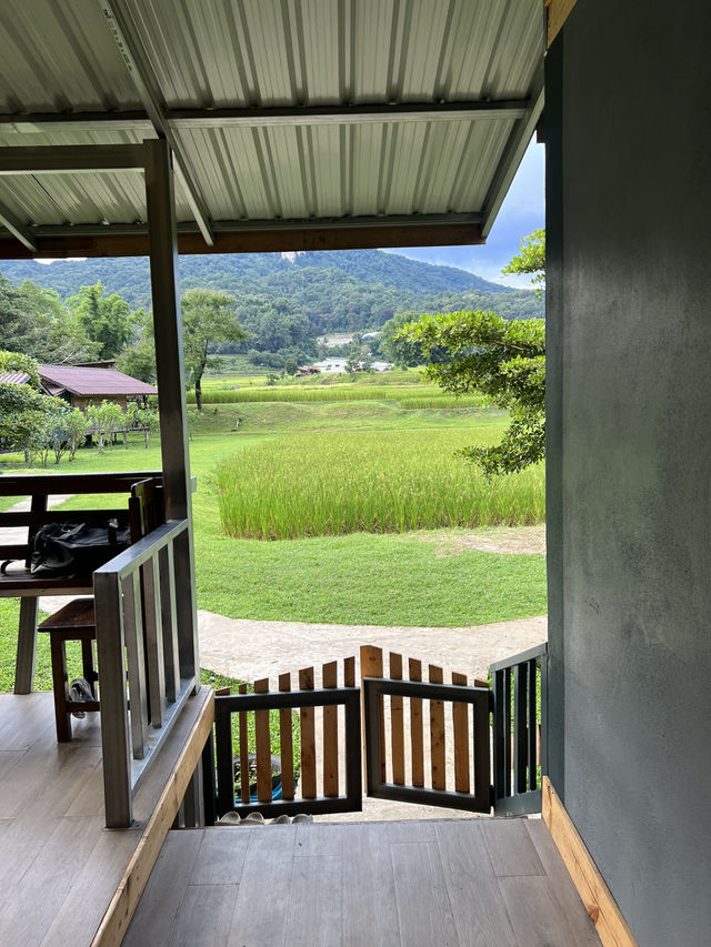 📍ที่พักเชียงใหม่ สงบ วิวทุ่งนาเขียวขจี สวยม๊าก 👍 📍ที่พักเชียงใหม่ สงบ วิวทุ่งนาเขียวขจี สวยม๊าก 👍