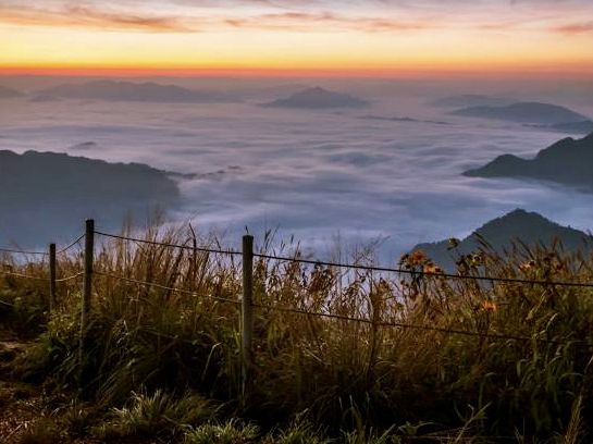 สัมผัสทะเลหมอกและแสงแรกของวัน 🌅✨ ที่ภูชี้ฟ้า