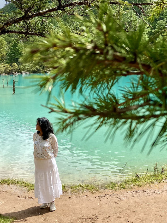 Blue Moon Valley: A Dreamlike Landscape