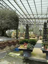 สวนนงนุชพฤกษศาสตร์