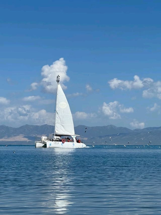 Echoes of the Plateau: Falling in Love with Qinghai Lake
