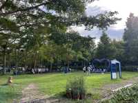 桃園大溪 天御花園 天御秘密花園