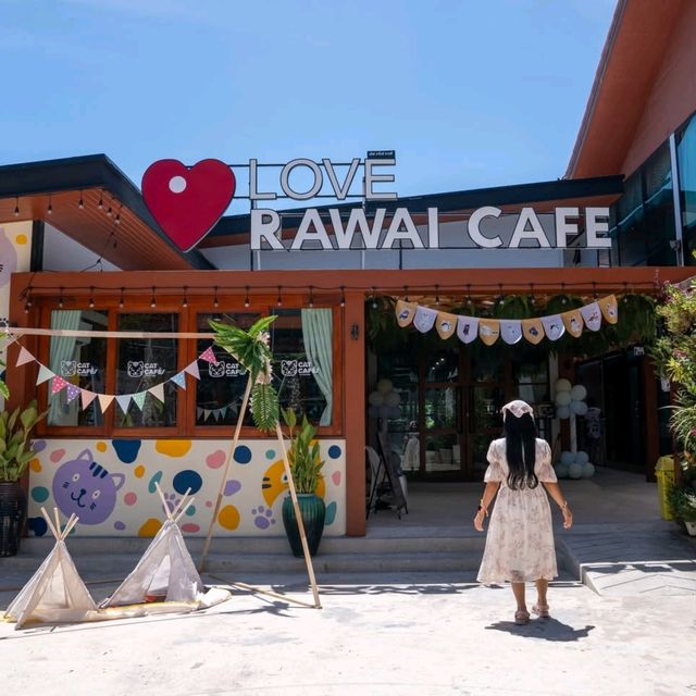 𝙈𝙀𝙊𝙒 𝙈𝙀𝙀𝙏𝙄𝙉𝙂 ที่ Love Rawai Cafe