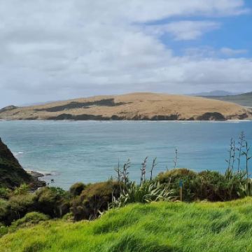 เขตอนุรักษ์ธรรมชาติ Arai te Uru - ผู้พิทักษ์ยอดเขา Hokianga บนหน้าผา