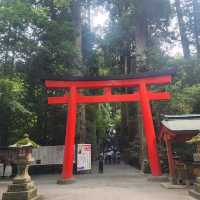 How to Nail Your Hakone Shrine Visit 🎴✨