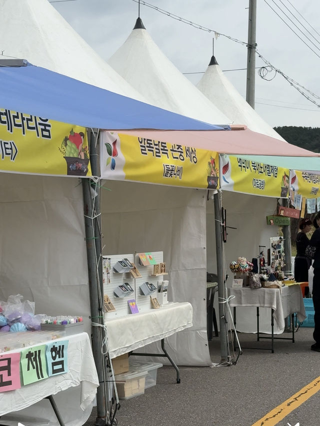 (실시간) 2025 청원 생명 축제, 드디어 시작되었습니다! (실시간) 2025 청원 생명 축제, 드디어 시작되었습니다!