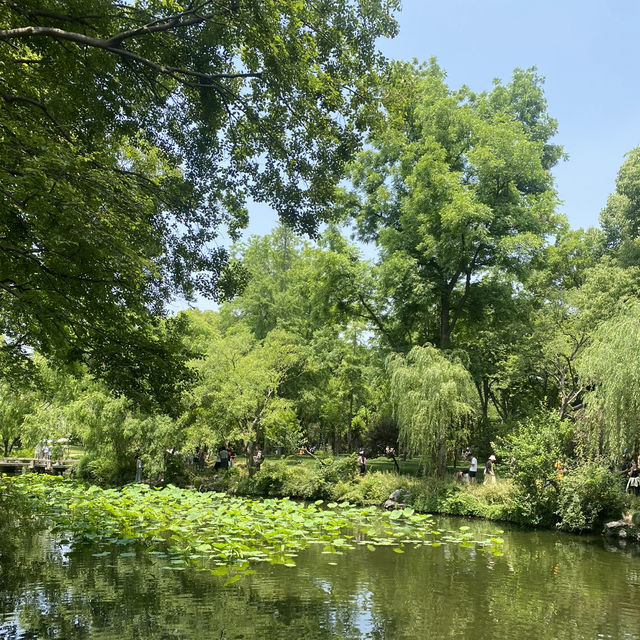 Garden Serenity🏯  