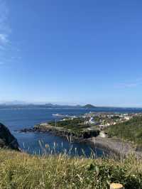Nature Vibes Jeju🌳