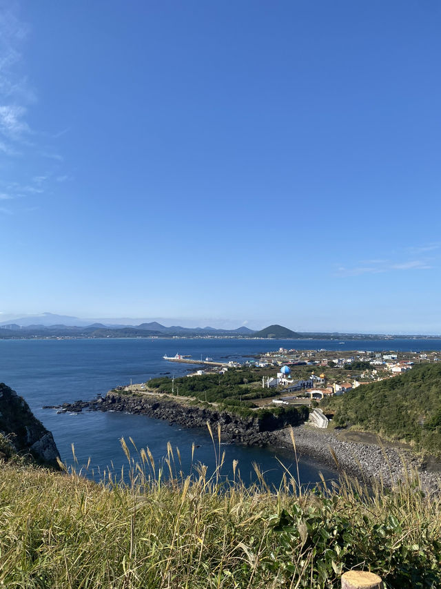 Nature Vibes Jeju🌳