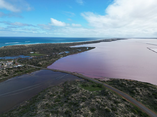 澳洲 Hutt Lagoon 粉紅湖:夢幻湖泊的空中饗宴 澳洲 Hutt Lagoon 粉紅湖:夢幻湖泊的空中饗宴