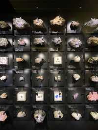 【東京上野】ボリューム満点の展示と素晴らしい建築