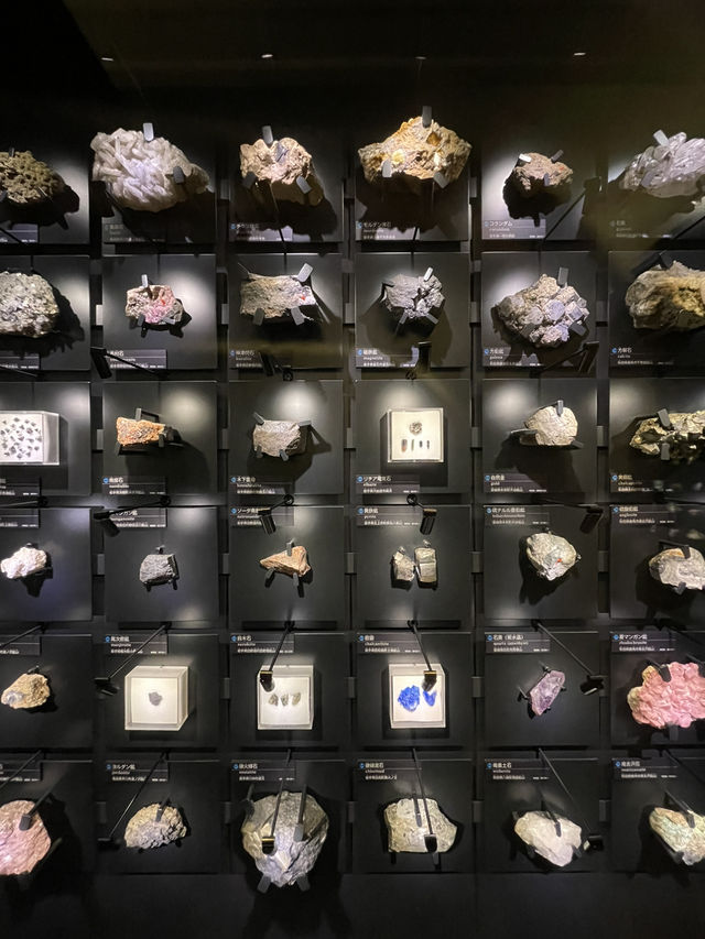 【東京上野】ボリューム満点の展示と素晴らしい建築
