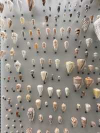 【東京上野】ボリューム満点の展示と素晴らしい建築
