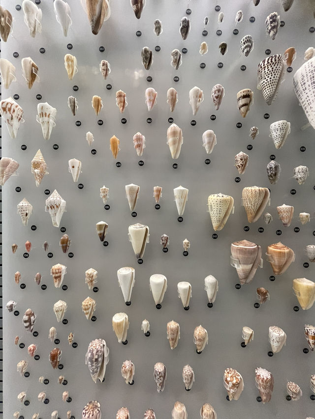 【東京上野】ボリューム満点の展示と素晴らしい建築
