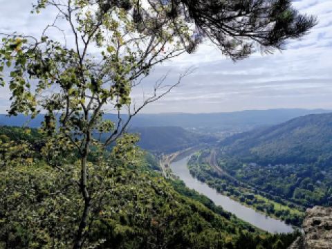 อุทยานแห่งชาติโบฮีเมียนสวิตเซอร์แลนด์