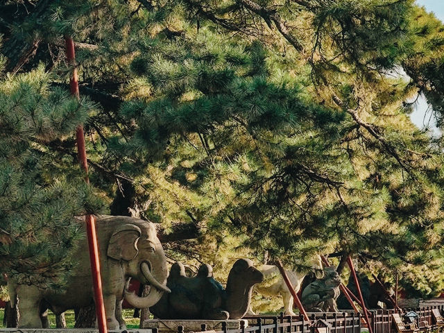 北陵公園🇨🇳