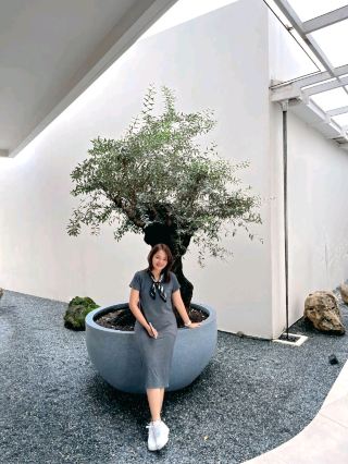 Traveling in Mae Sot