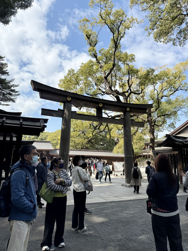 🌟 Discovering Kitasando’s New Hot Spots