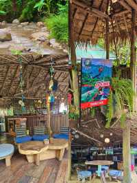 🌲 Stay Wild & Cafe แม่แตง! 🌲