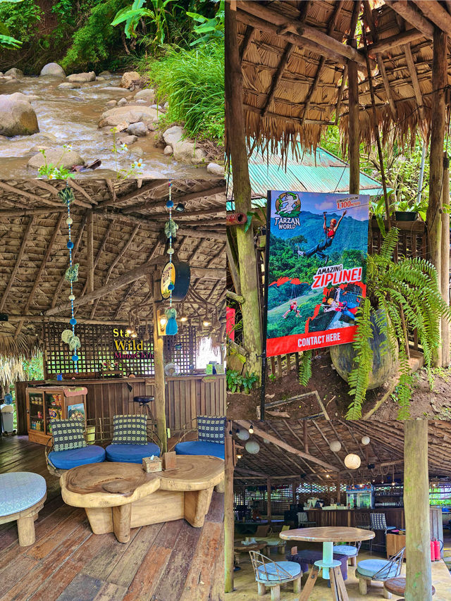 🌲 Stay Wild & Cafe แม่แตง! 🌲