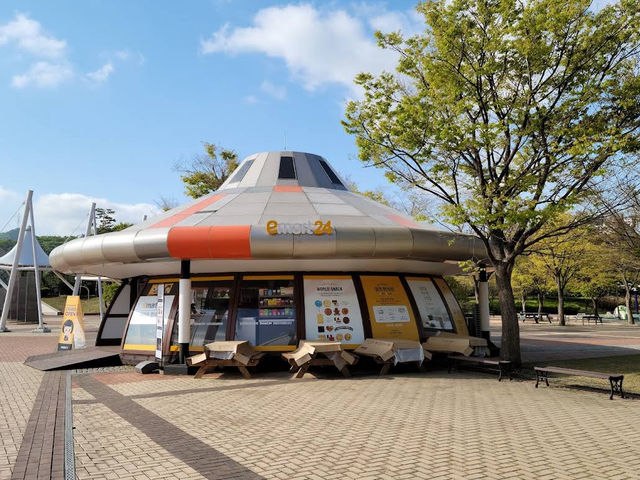 🌌 Interactive Wonders at Gwacheon National Science Museum