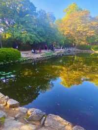 🏯 경주의 상징, 불국사와 첨성대 하루 여행 🌸