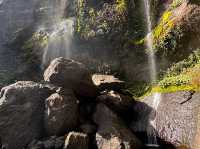 Koroyanitu National Heritage Park