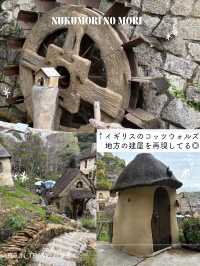 【静岡】ぬくもりの森へ行ってみた🌳