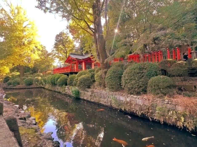 🌸 Nezu Shrine – A Serene Escape in Tokyo’s Old Neighborhood