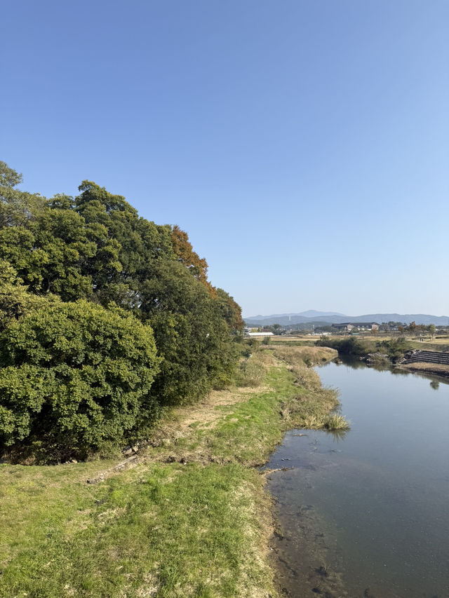 경주 가을여행 가시기 좋은 곳 추천드려요!!😆😆 경주 가을여행 가시기 좋은 곳 추천드려요!!😆😆