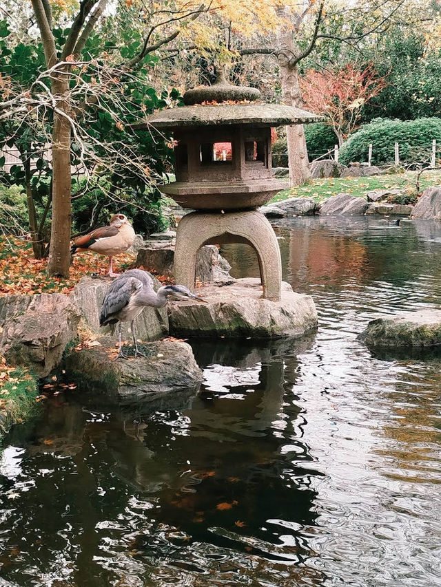 🌳✨ Green Escape & Elegance at Holland Park 🏞️