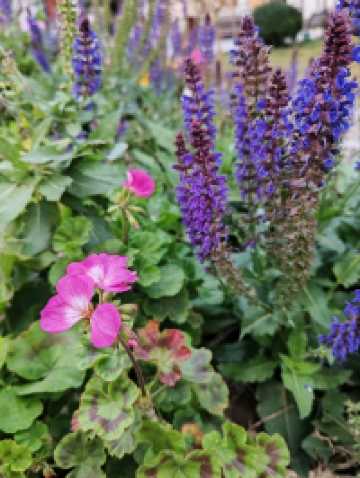Church of The Saviour, Beijing (西什库教堂)