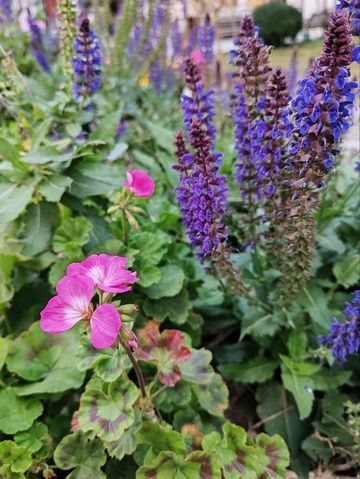 Church of The Saviour, Beijing (西什库教堂) Church of The Saviour, Beijing (西什库教堂)