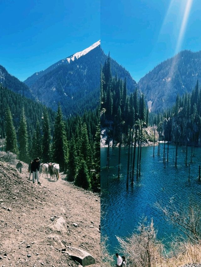 숲이 숨겨둔 신비로운 물결을 만난 하루 숲이 숨겨둔 신비로운 물결을 만난 하루