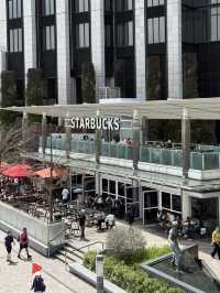 📸 침사추이 반나절 여행코스 & 포토스팟 ,야경맛집