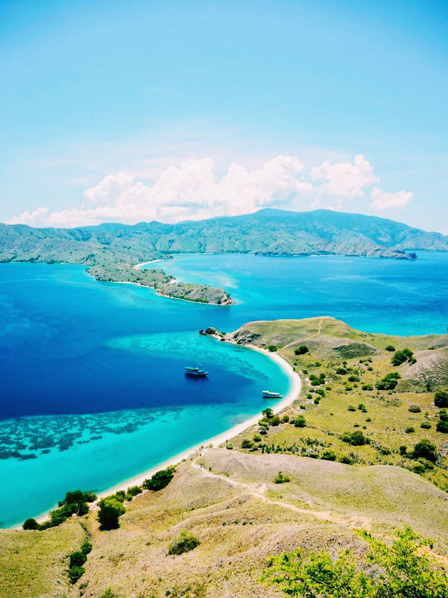 印尼🇮🇩科莫多島繽紛色彩