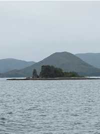 📸打卡香港秘境！荔枝窩客家村奇樹+海景一日遊