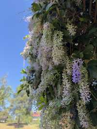 ร้าน จันกะผัก (Chan Ka Pak)