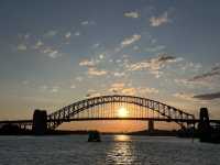 Sydney Signs Tripcom🏙️