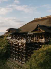 일본 교토 가볼만한 기요미즈데라 청수사 명소 추천