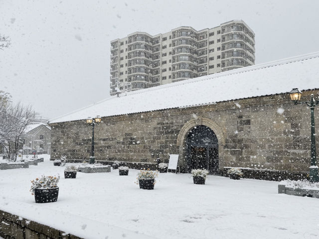홋카이도 오타루의 겨울
