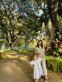 “Lampang Orchid & Aurora Festival”