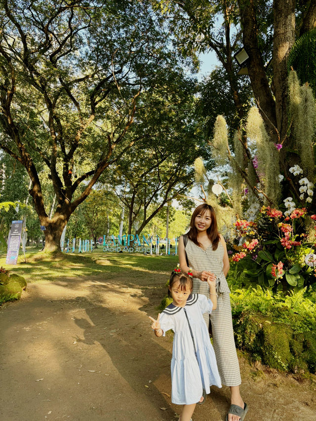 “Lampang Orchid & Aurora Festival” “Lampang Orchid & Aurora Festival”