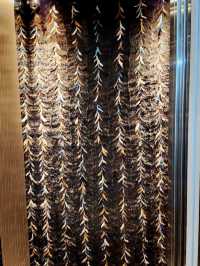 罅縫中的西伯利亞皮草大廈和Chocolux📸