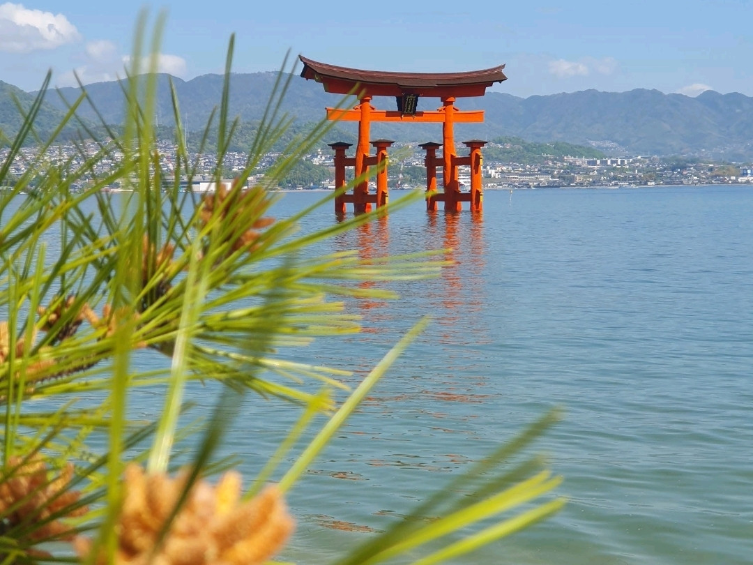 宮島での約束：海上鳥居の癒やし、残念なポケモン、そして思いがけず