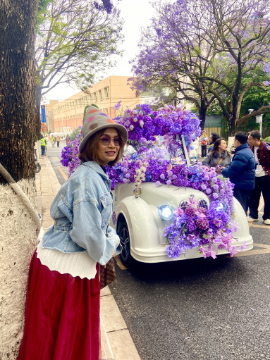 Kunming: Jacaranda flowers | Trip.com Kunming