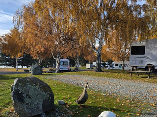 ~Trekking at Lake Tekapo, a Must-Visit Spot in New Zealand~.